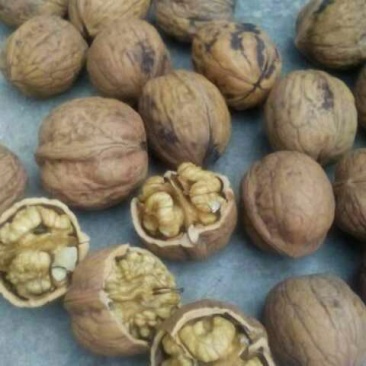 绵核桃25mm以下去皮干