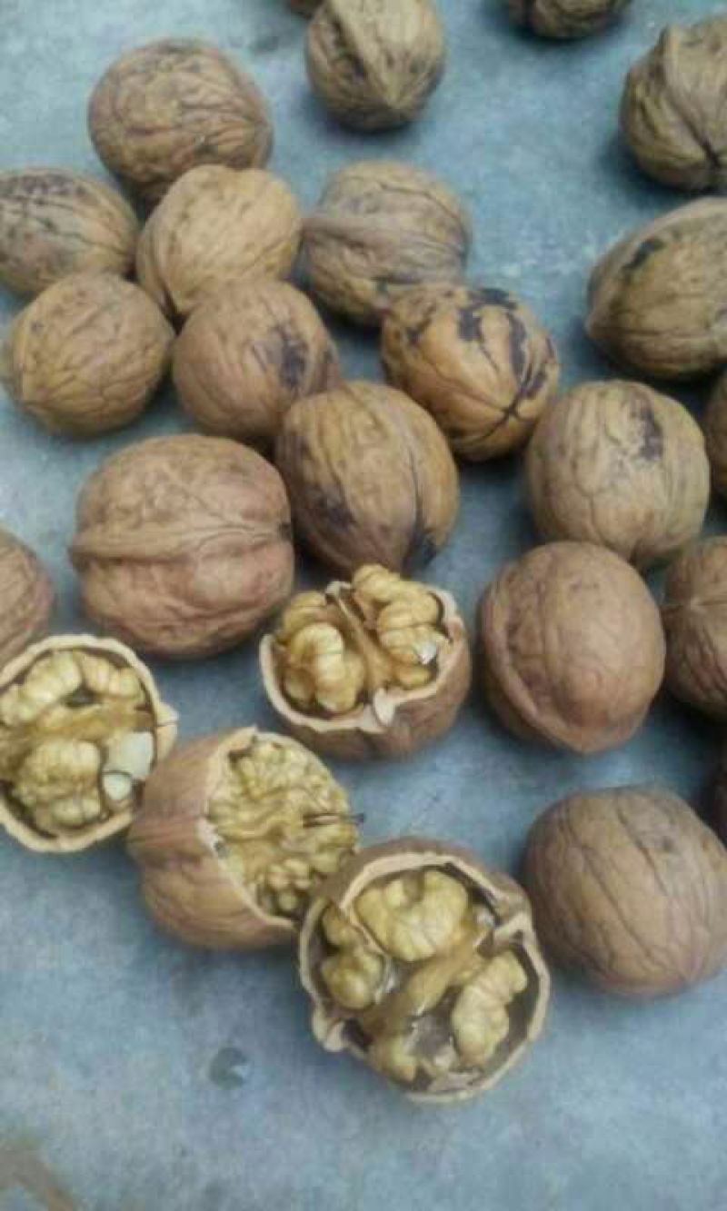 绵核桃25mm以下去皮干