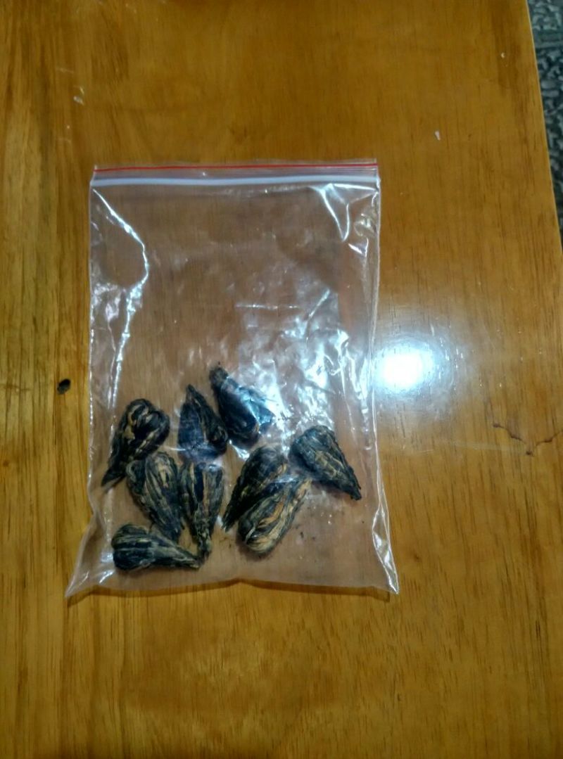 普洱茶