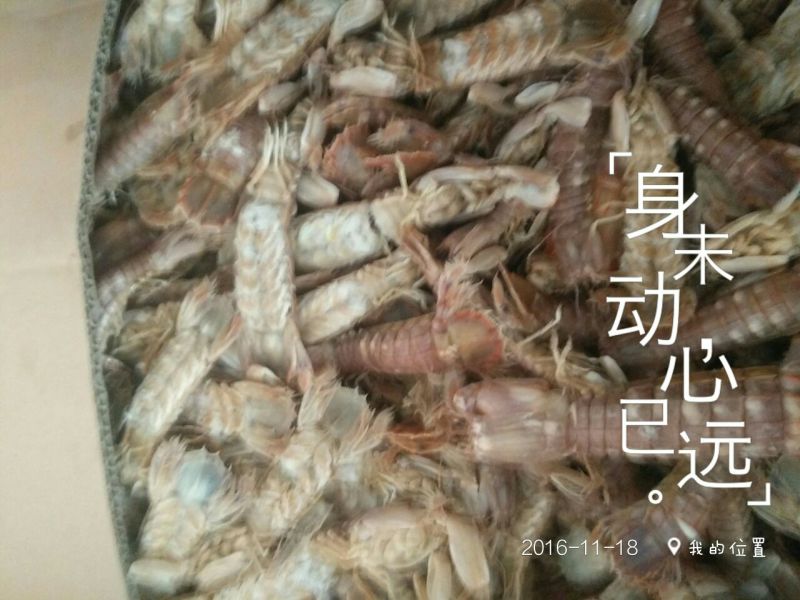 鱿鱼干包装