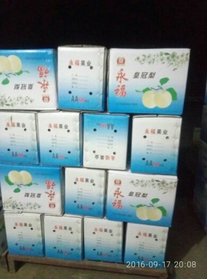 鸭梨550~600g纸加膜