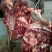 驴肉鲜货