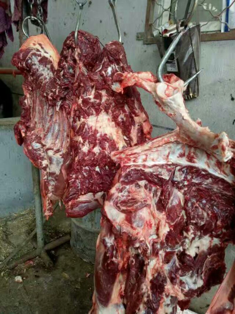 驴肉鲜货