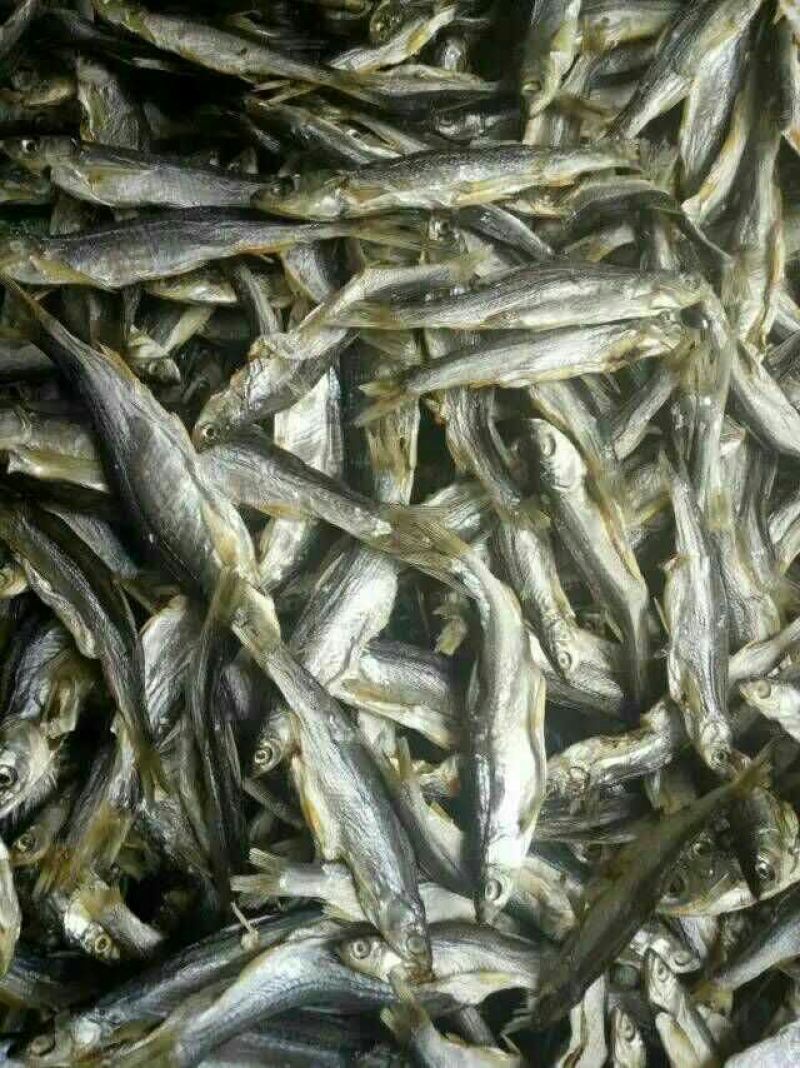 河汊小干鱼