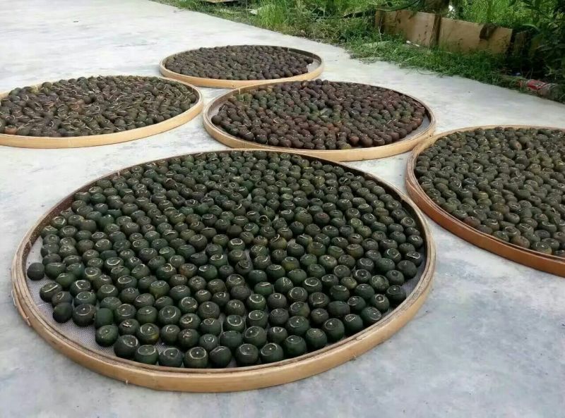 柑普茶特级