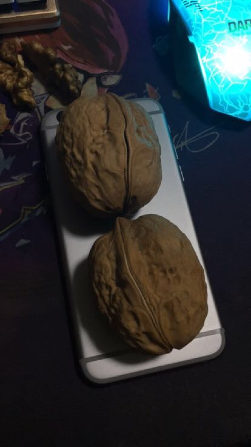 新疆核桃