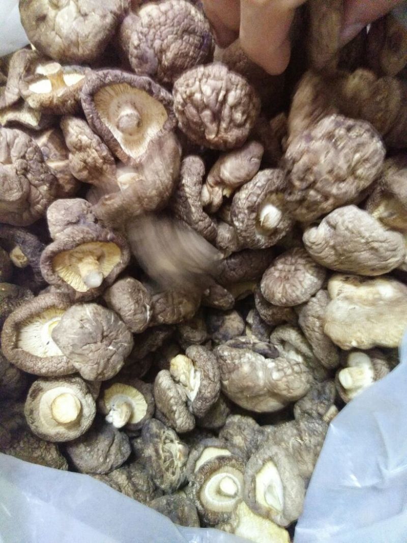 干香菇