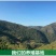 云南彝族黑山羊40~60斤/头，公母羊