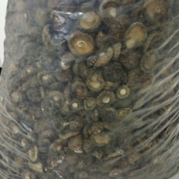 干香菇