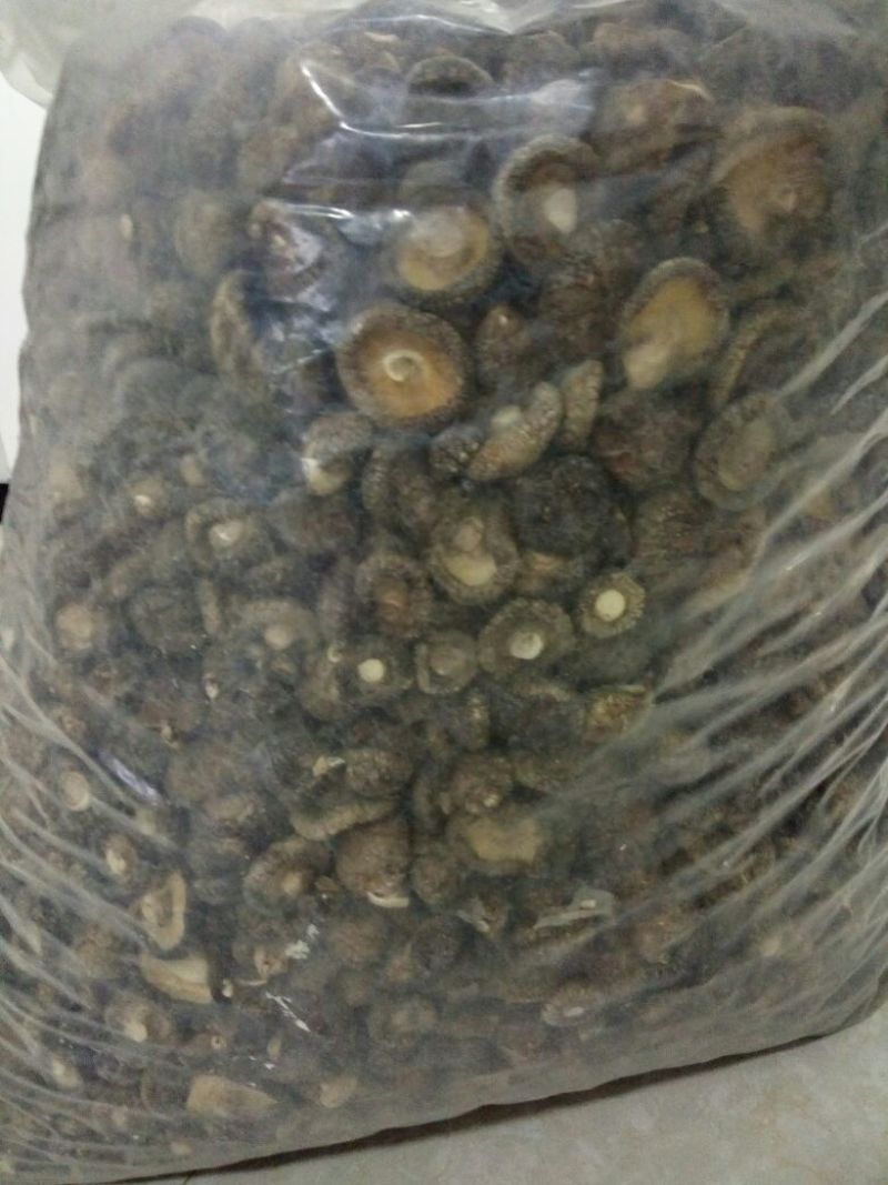 干香菇