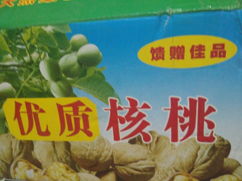 新疆核桃30mm以上去皮干