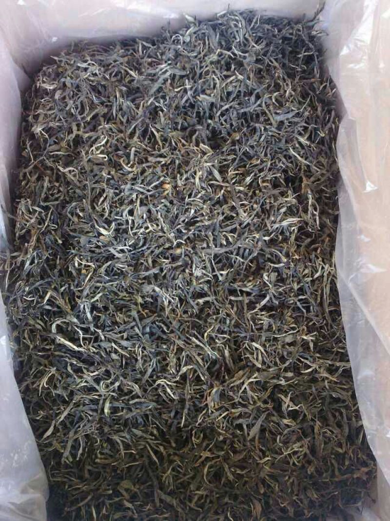 本山茶