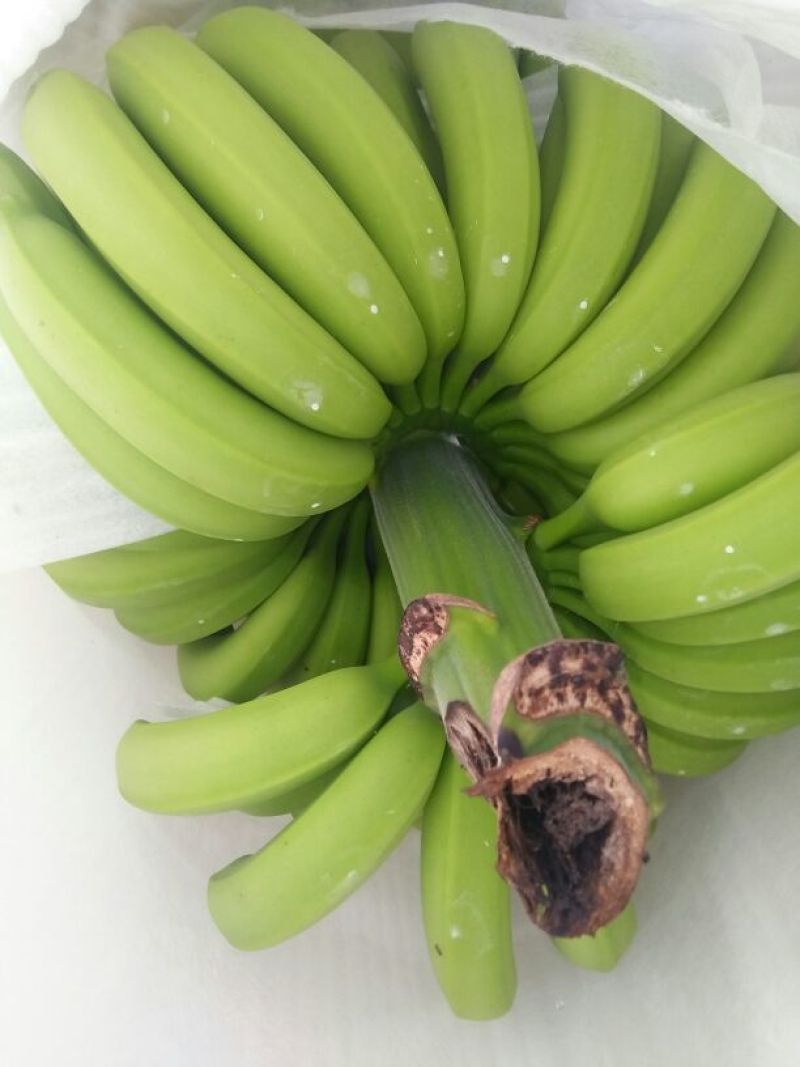 香蕉七成熟
