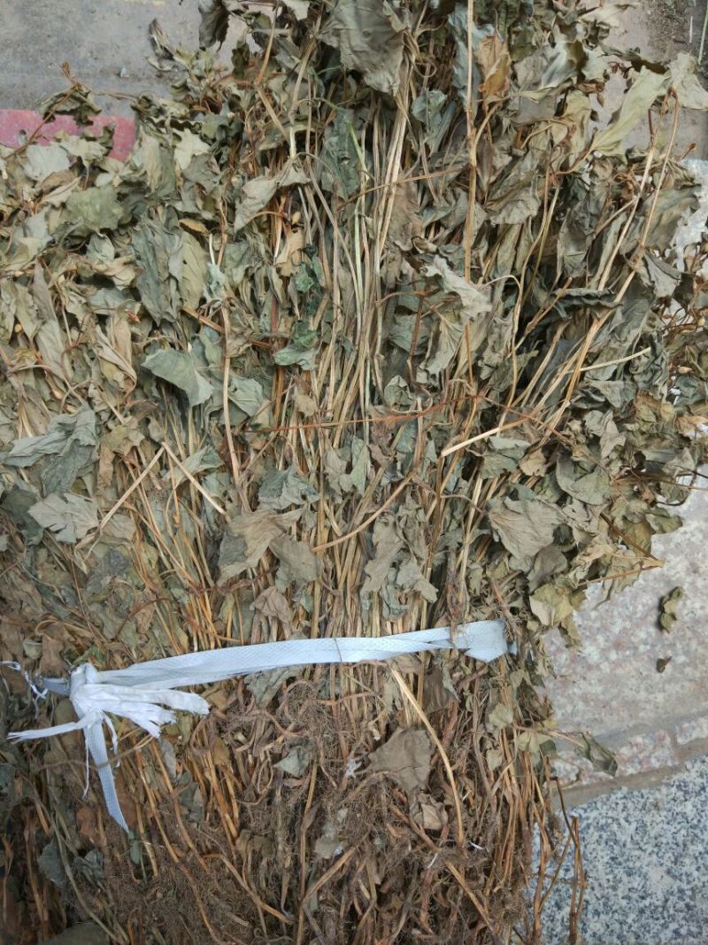 鱼腥草包装袋