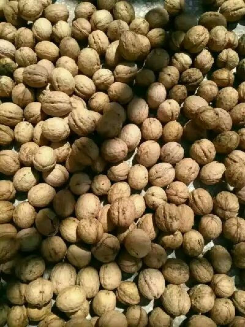薄皮核桃去皮干