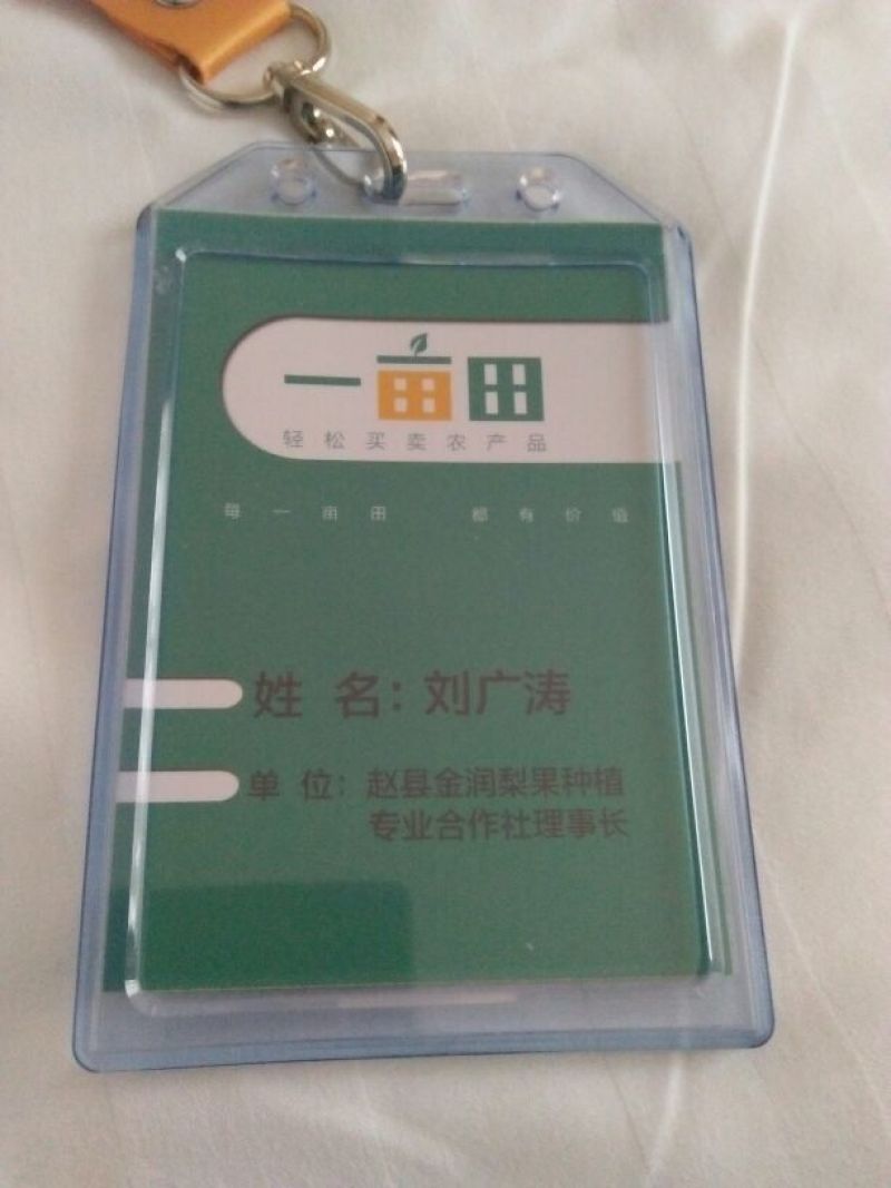 雪花梨350~400g纸袋