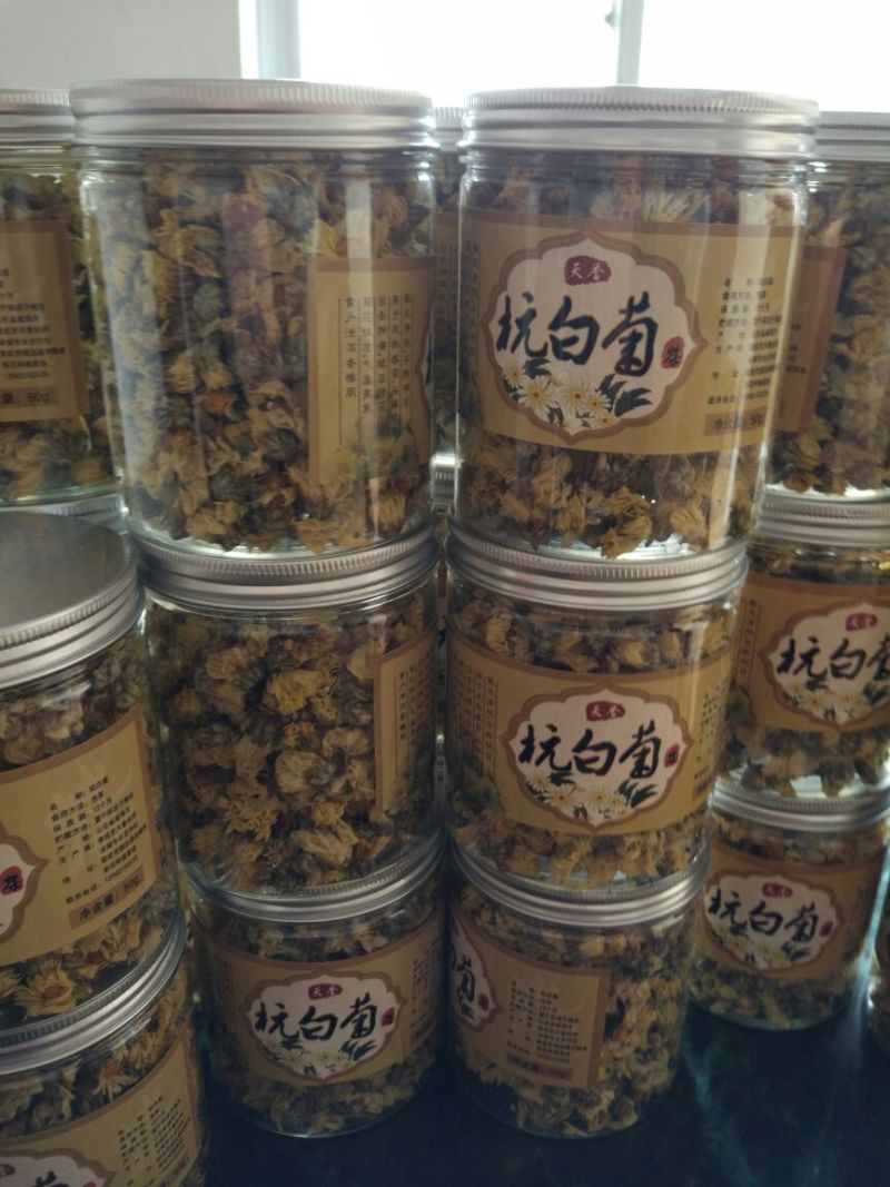 杭州白菊罐装