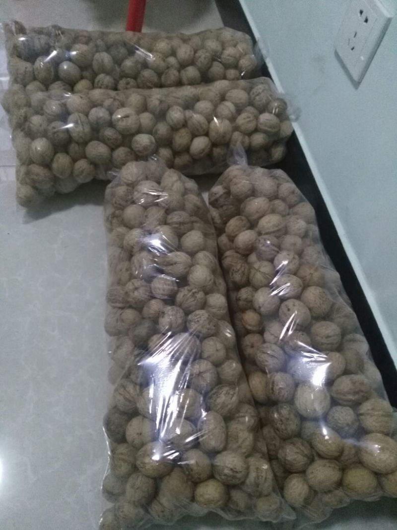 纸皮核桃去皮