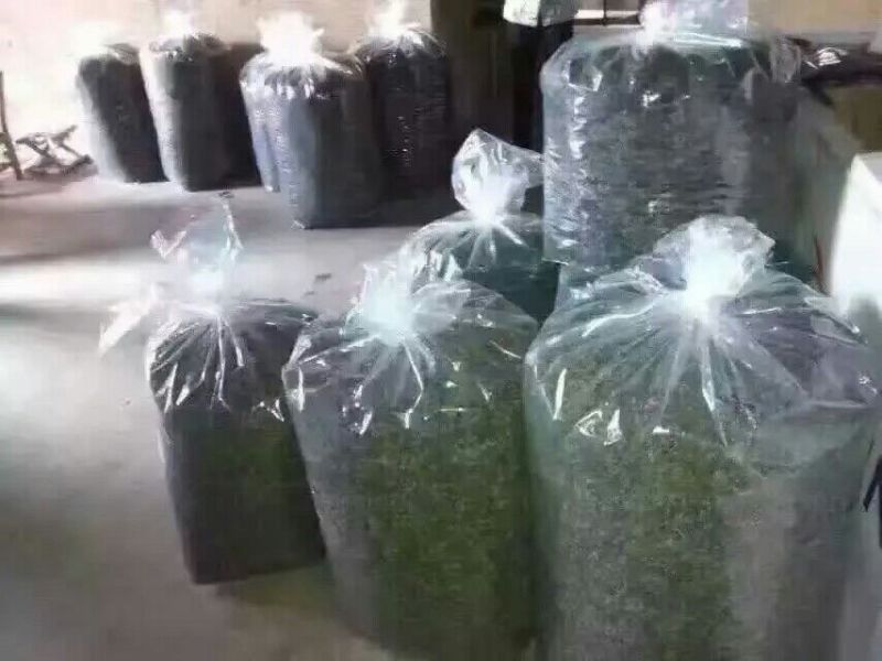 观音茶二级