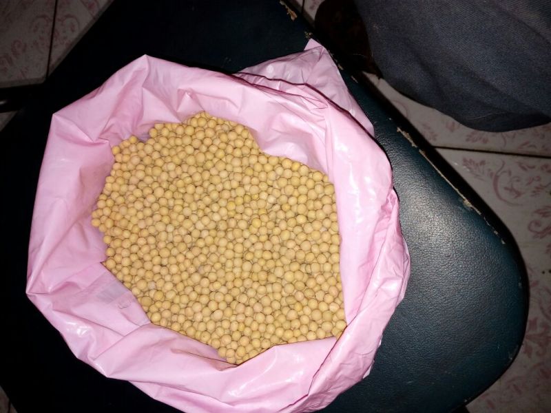 芽豆食用