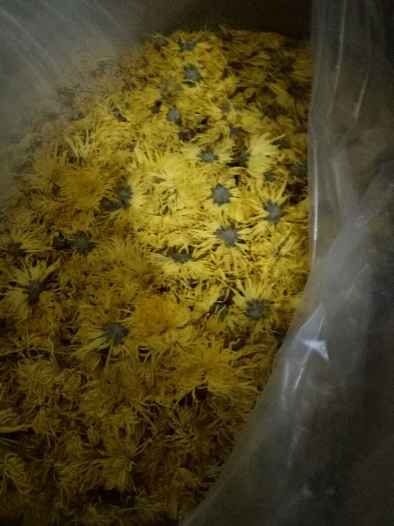 菊花茶