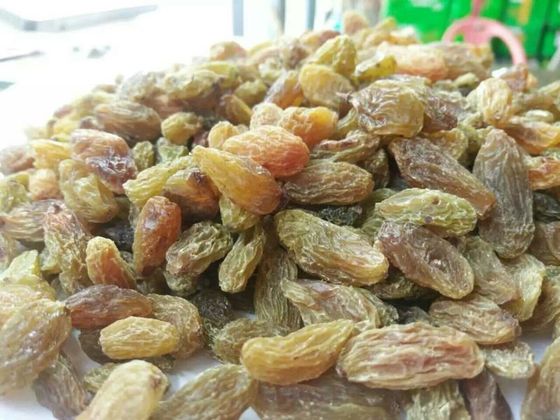 葡萄干无核一级