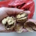 大泡核桃去皮干