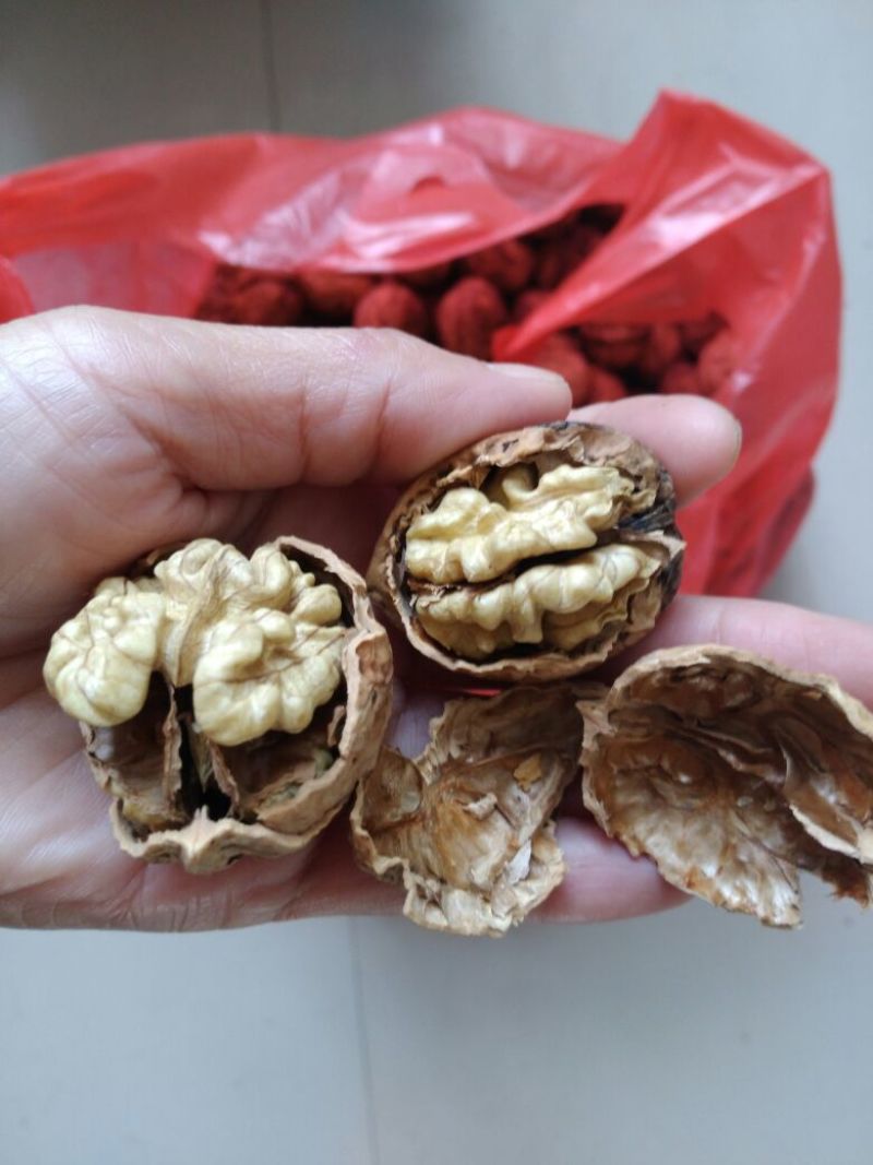 大泡核桃去皮干