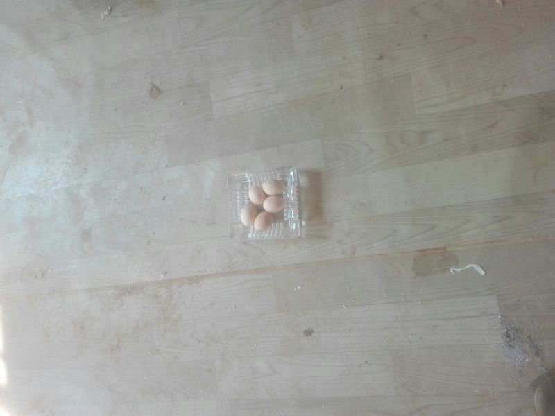 土鸡蛋食用50g以下