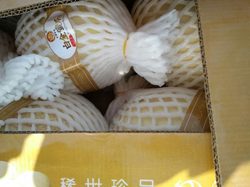 鄯善哈密瓜1斤以上长圆形