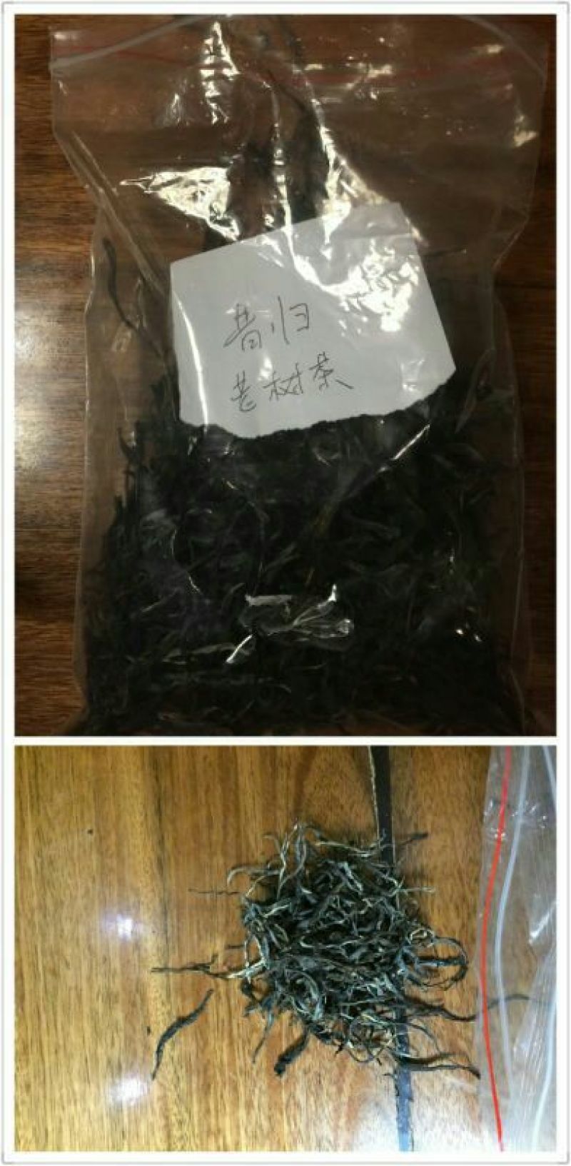 百年大树茶特级