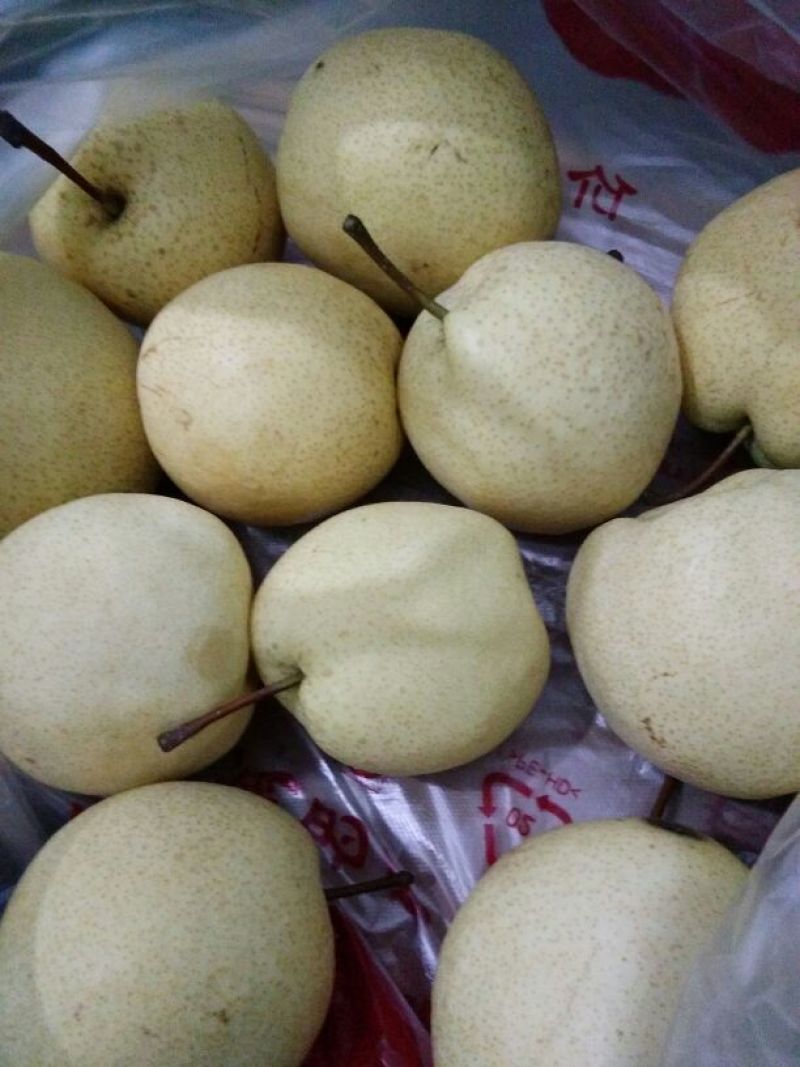 贵妃梨100~150g纸箱
