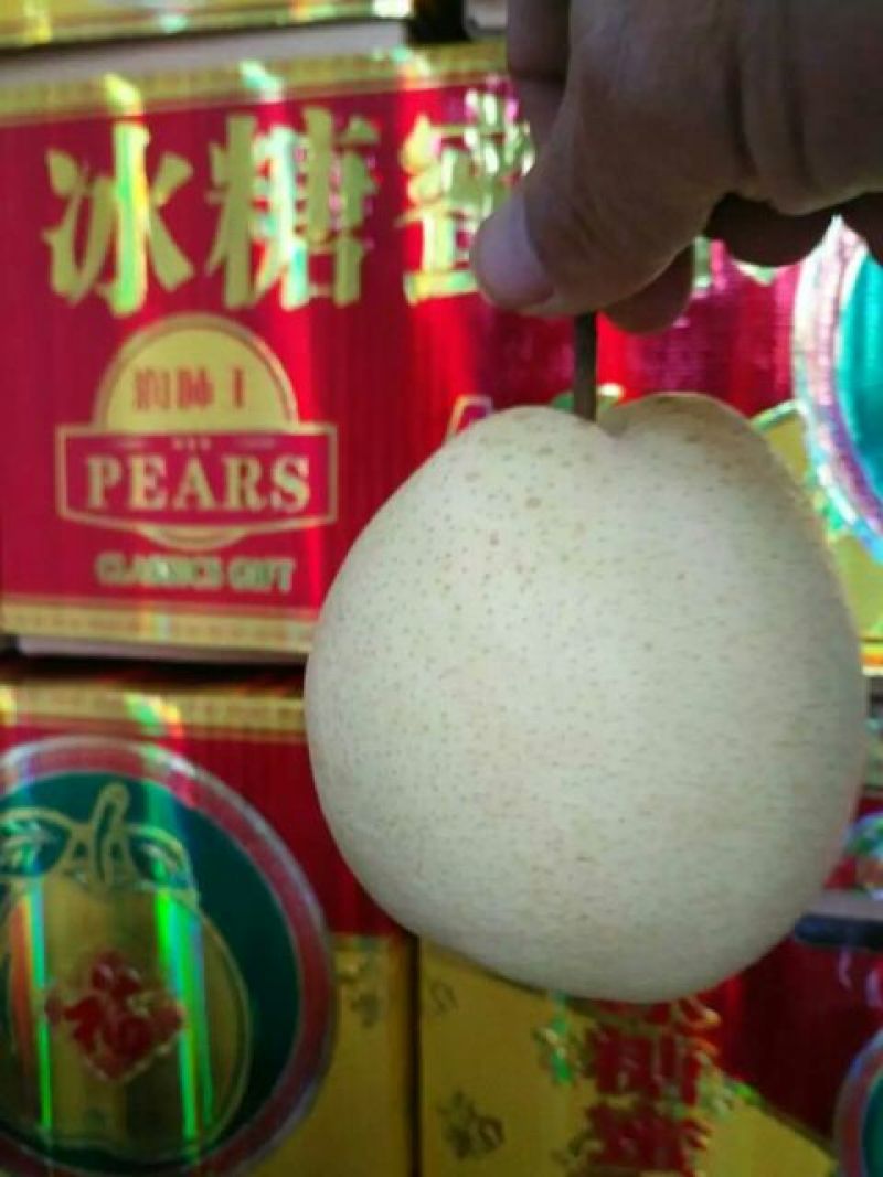 酥梨200~250g纸袋