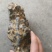 根雕茶台