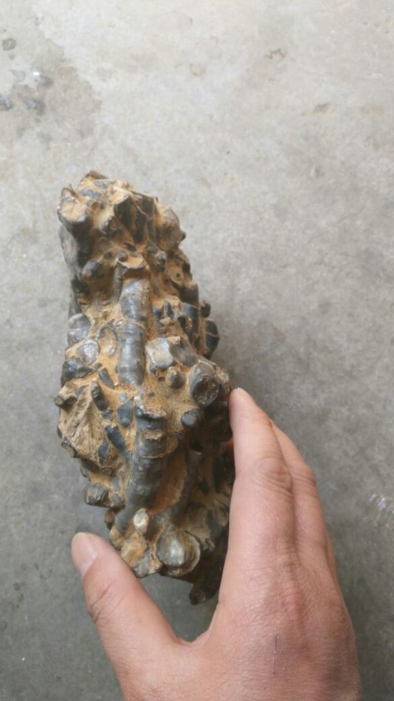 根雕茶台