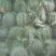 龙卷风西瓜10斤打底9成熟1茬
