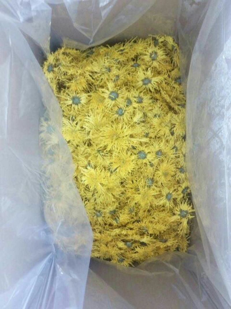 菊花茶