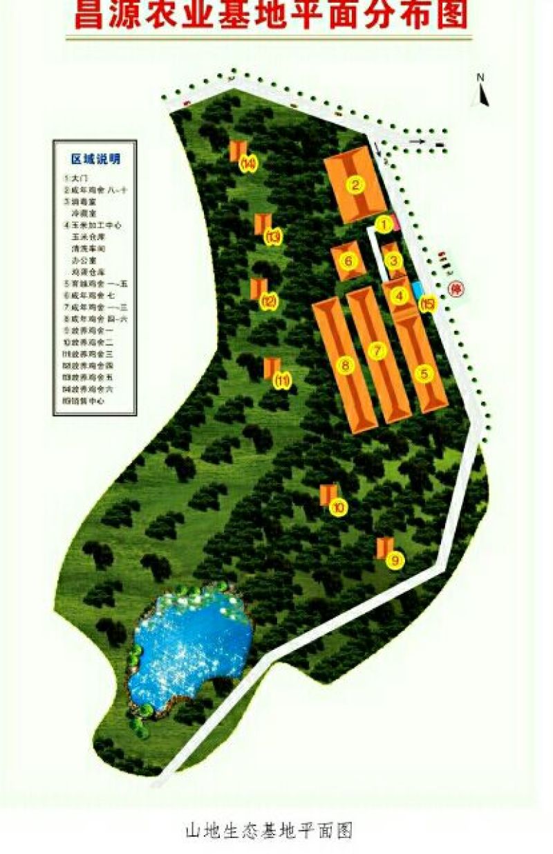 绿壳鸡蛋食用50g以下