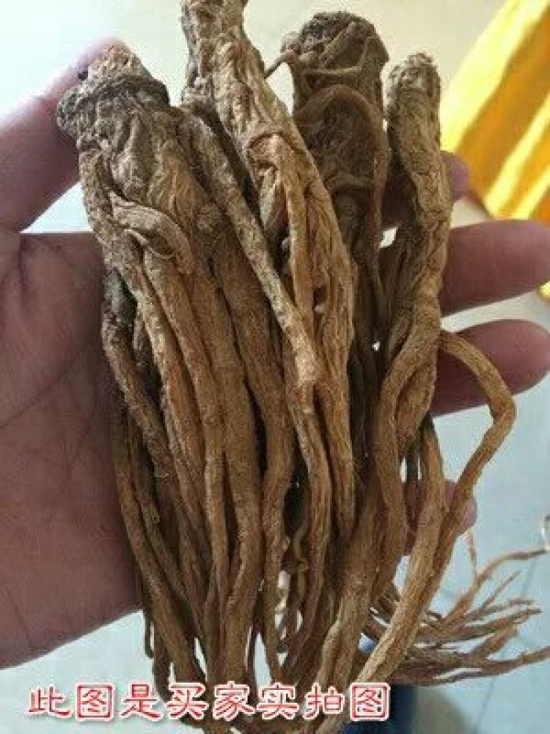 岷当归