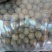 香玲核桃30mm以上去皮干