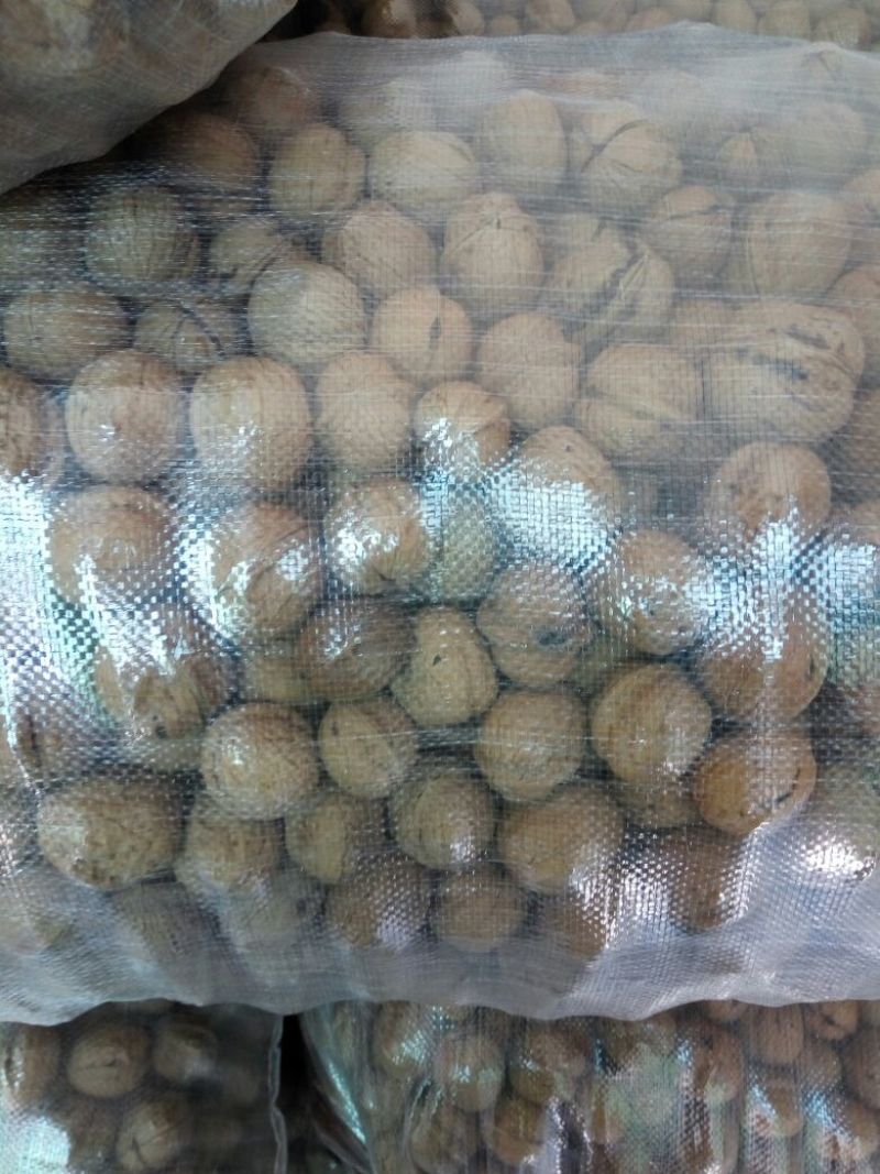 香玲核桃30mm以上去皮干