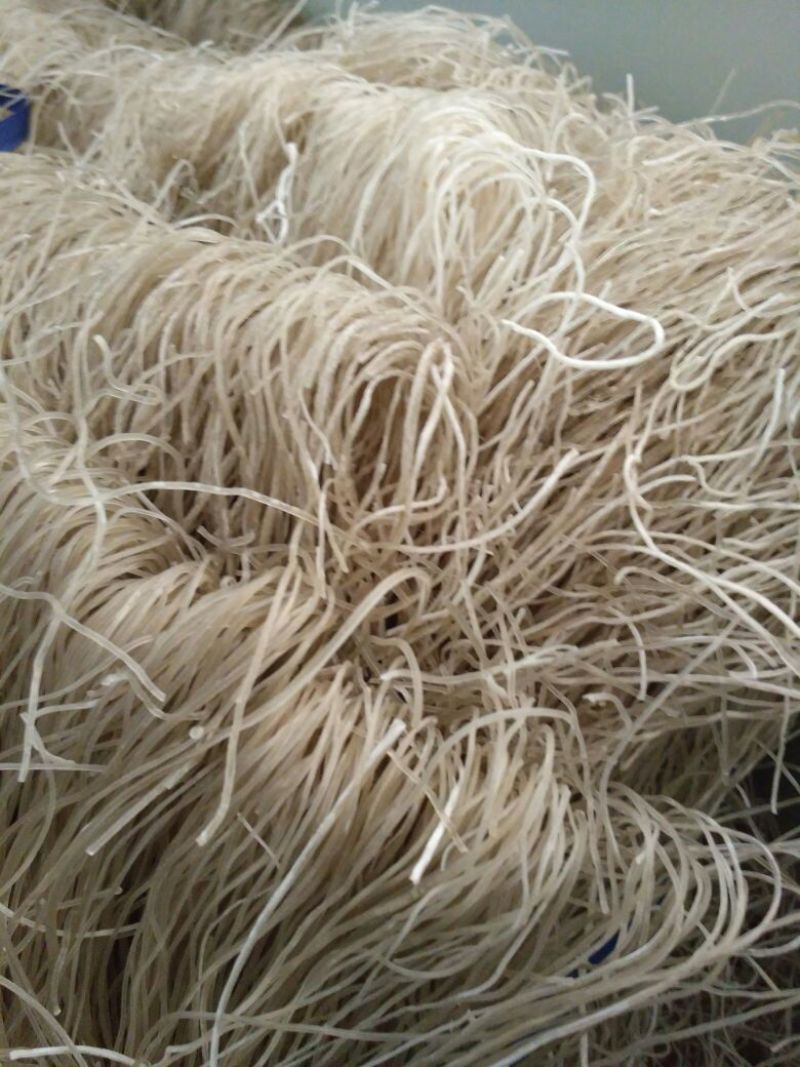 红薯粉丝