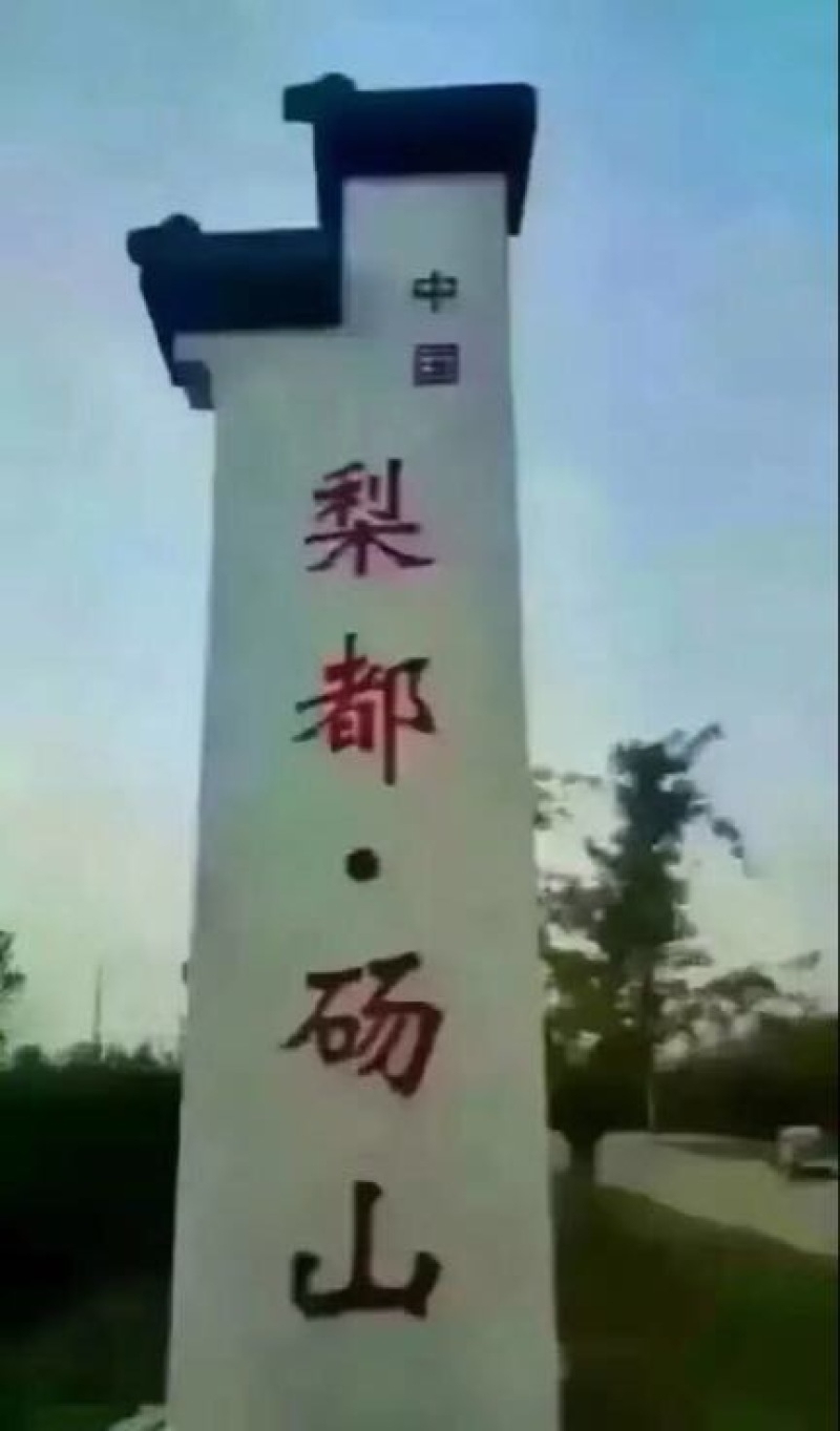 砀山梨