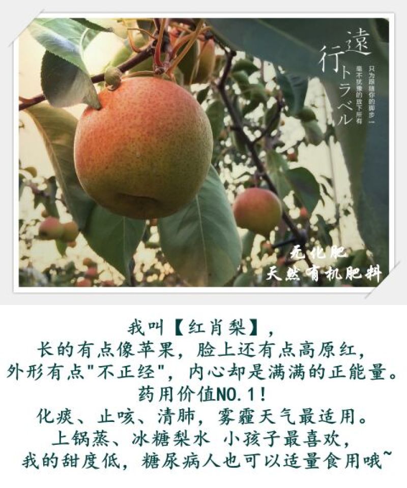 红硝梨150~200g纸箱