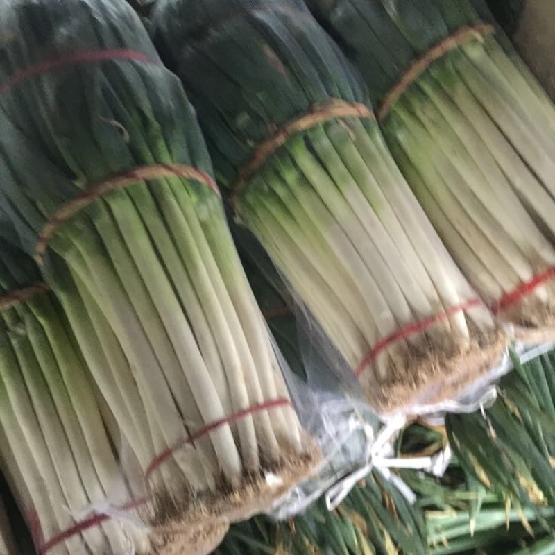 大葱