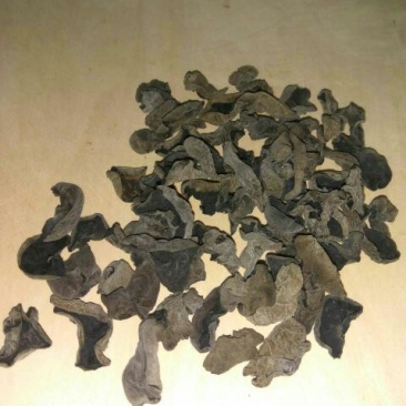 秋耳特级