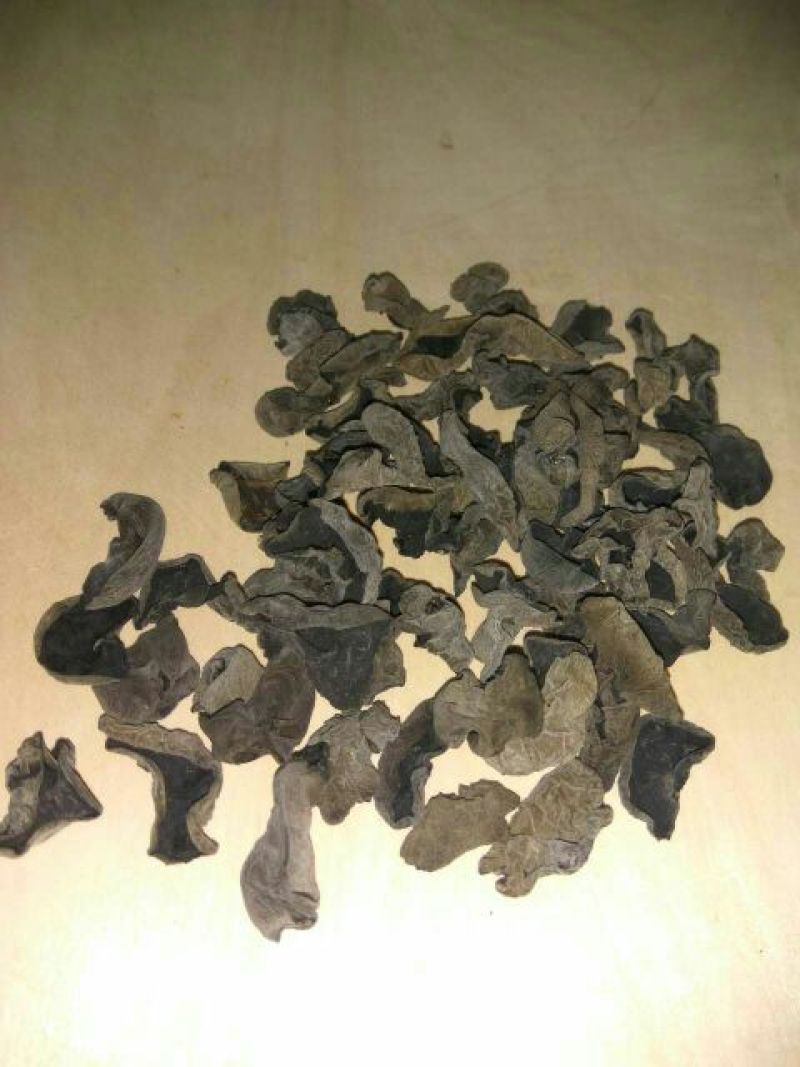 秋耳特级