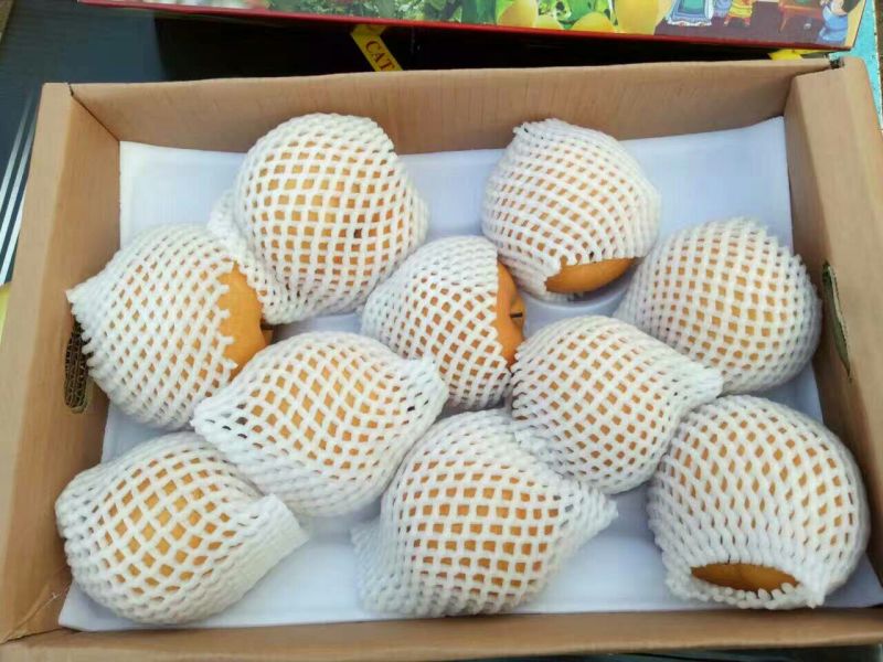 鸭梨膜袋