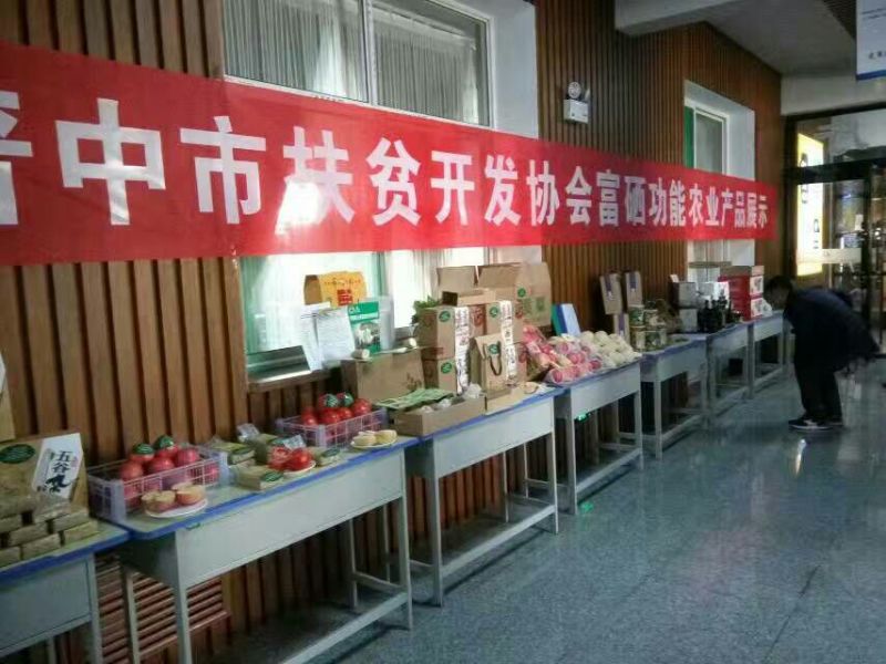 专业代收酥梨，红富士苹果
