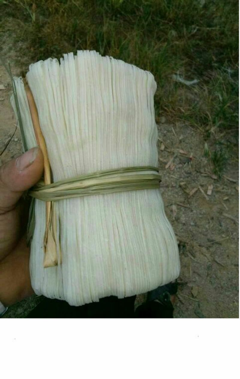粉丝包装